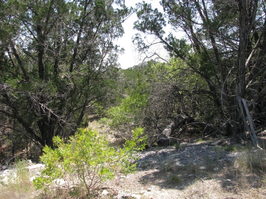 Picture 10