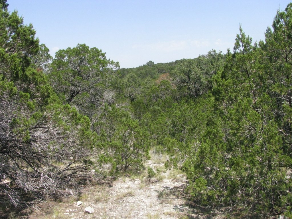 Picture 16