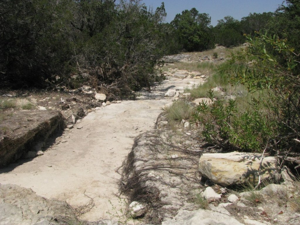 Picture 8