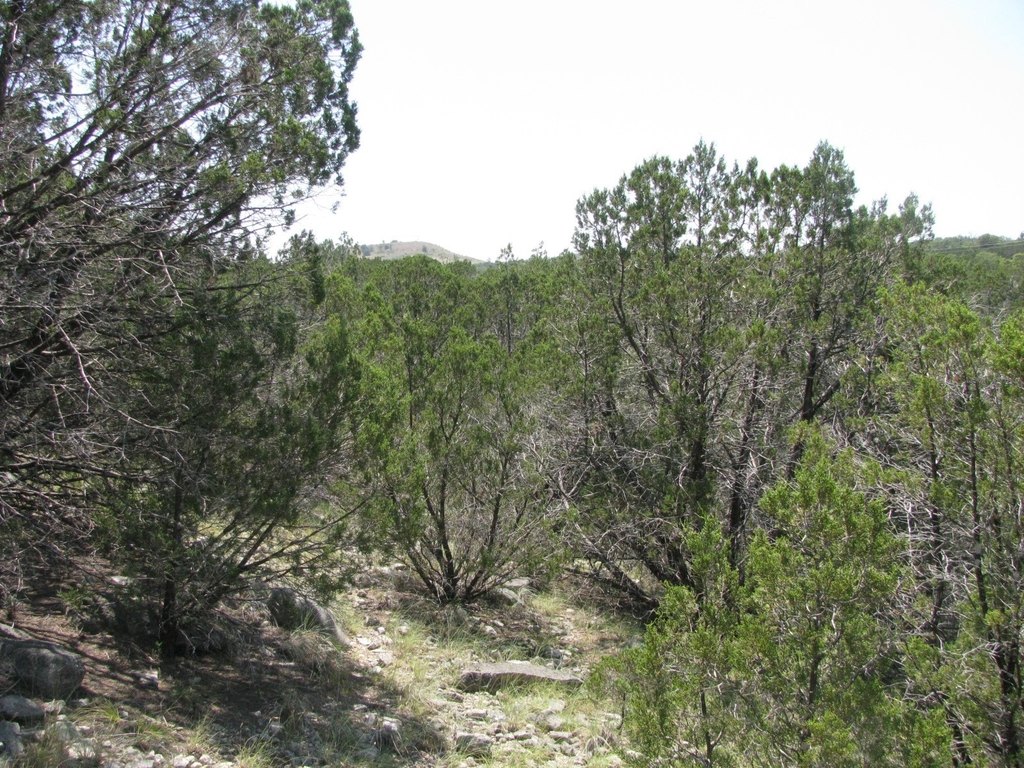 Picture 4