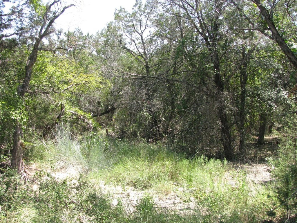 Picture 11