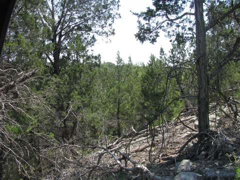 Evant, TX Land For Sale