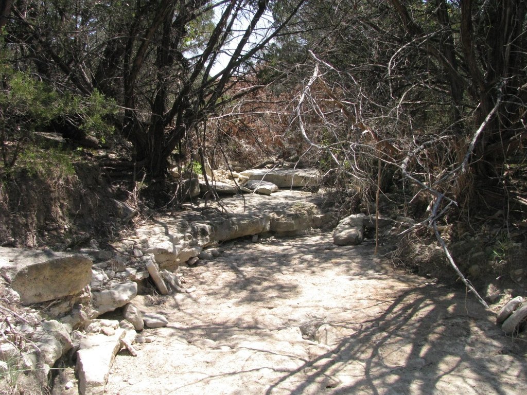 Picture 7