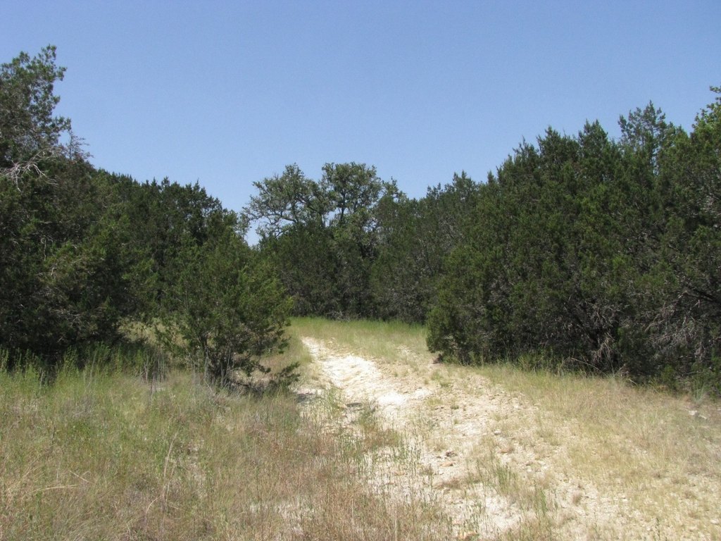 Picture 15