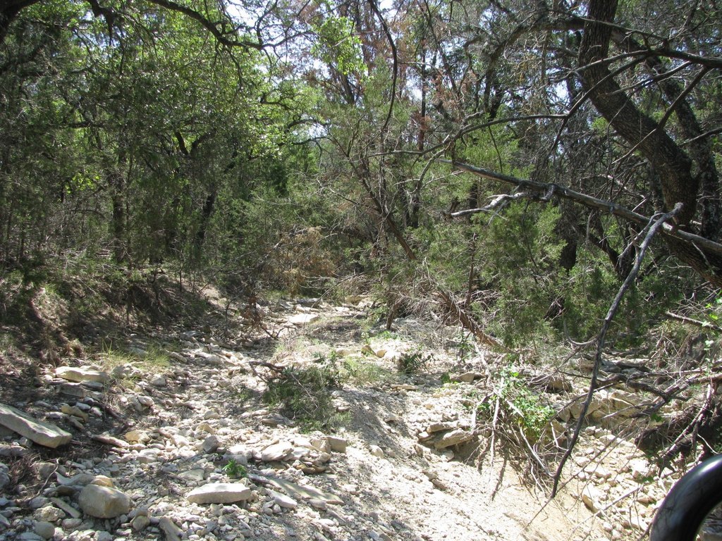 Picture 3