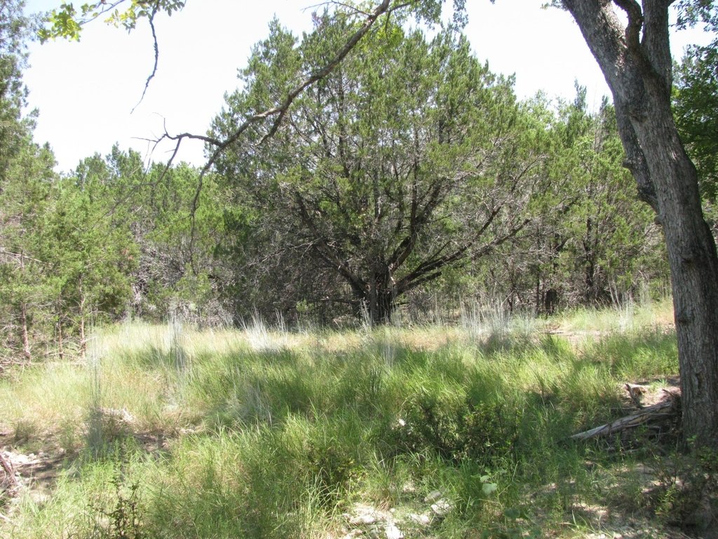 Picture 12