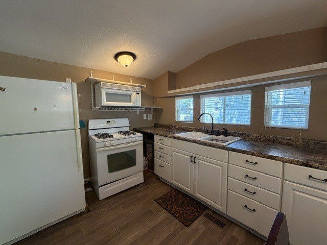 Picture 12