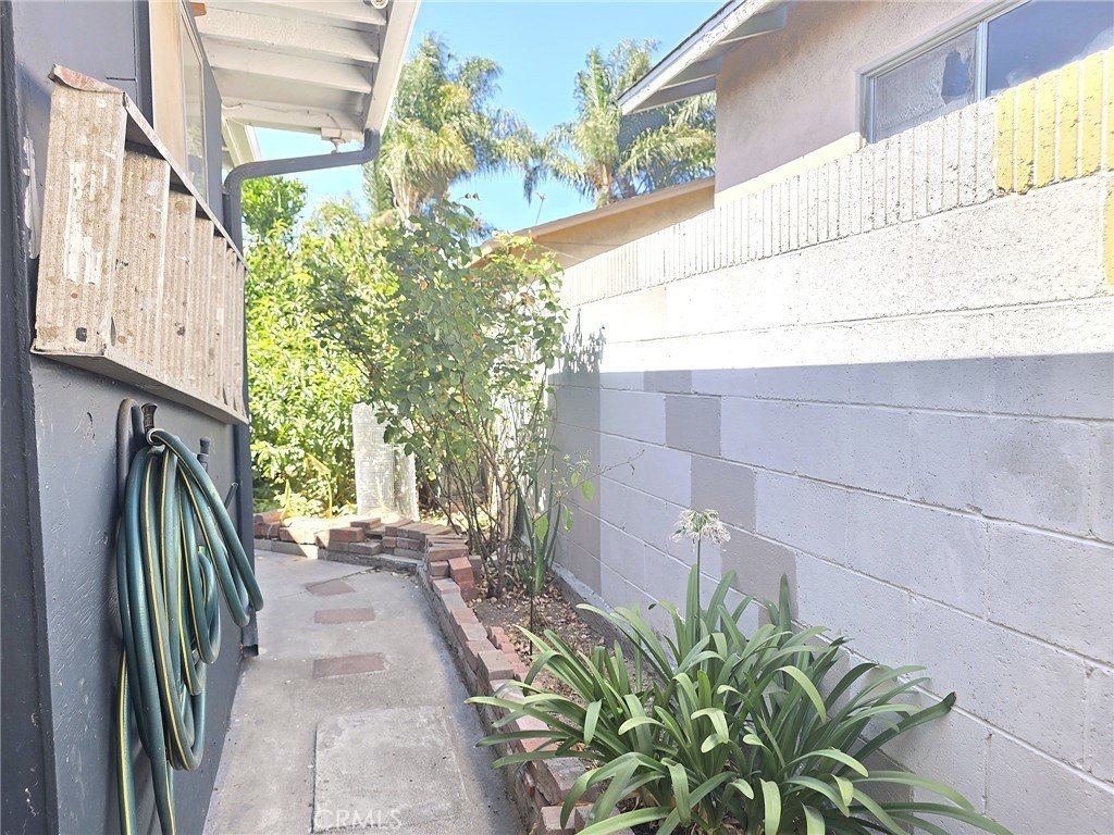 Picture 38