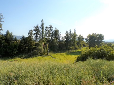 Residential Homesite with Well