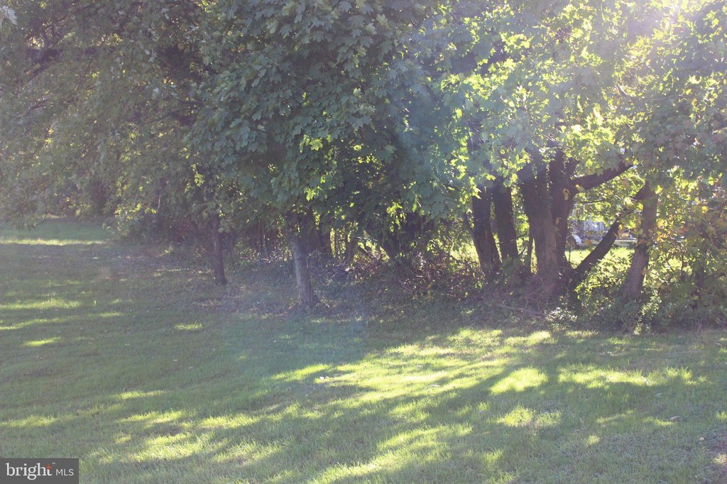 Picture 13