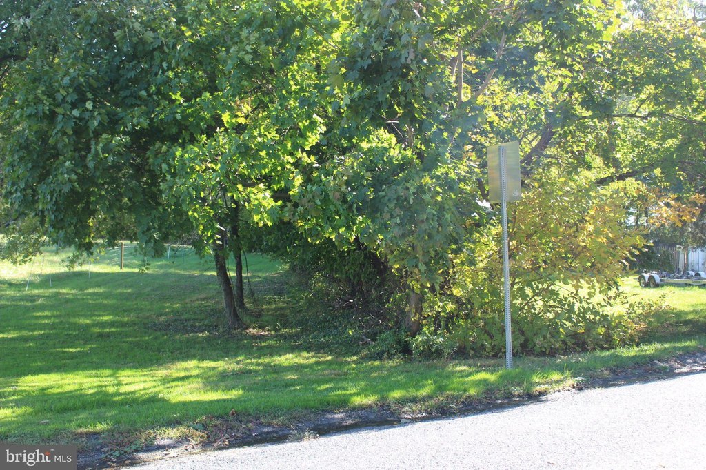 Picture 7