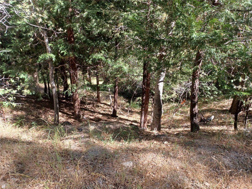 Picture 7