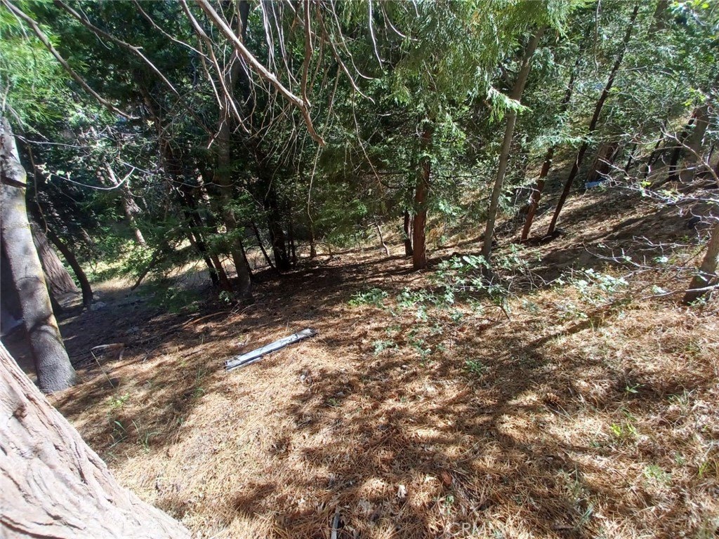 Picture 6