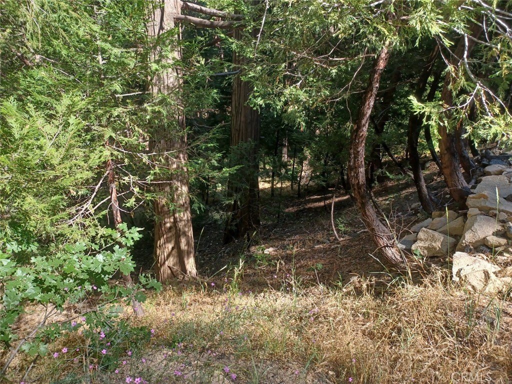 Picture 8