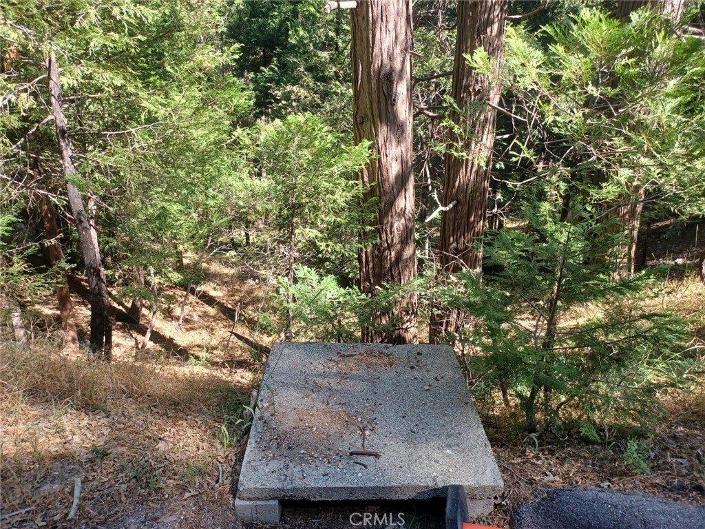 Picture 4