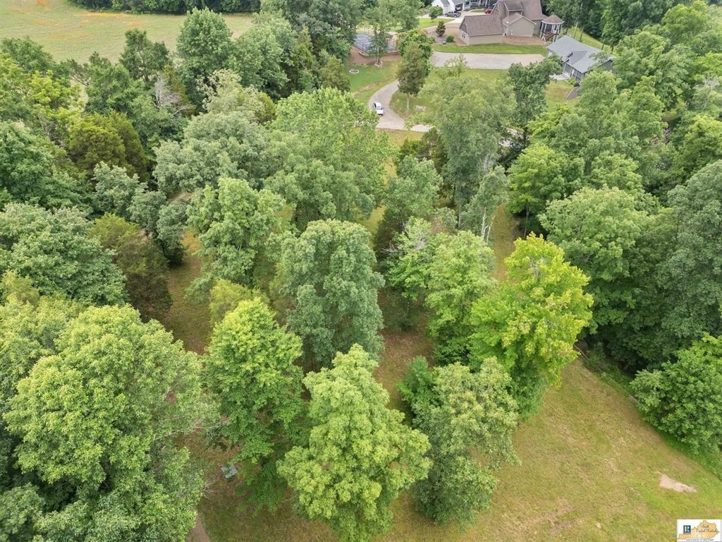 Picture 20