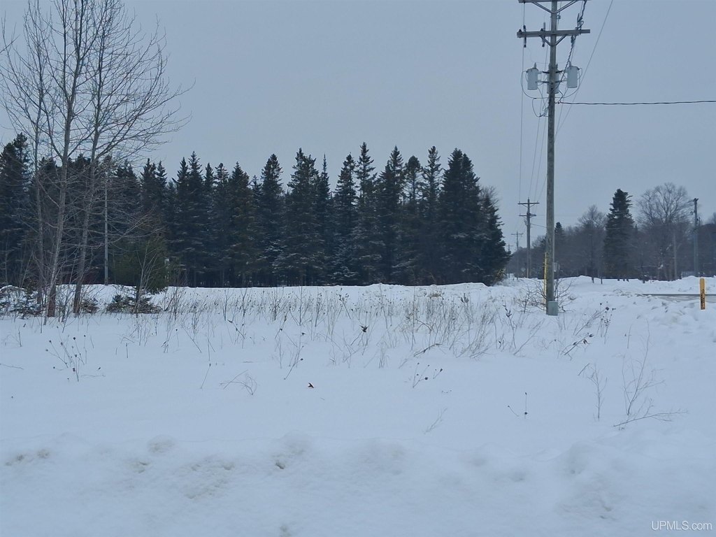 Picture 5