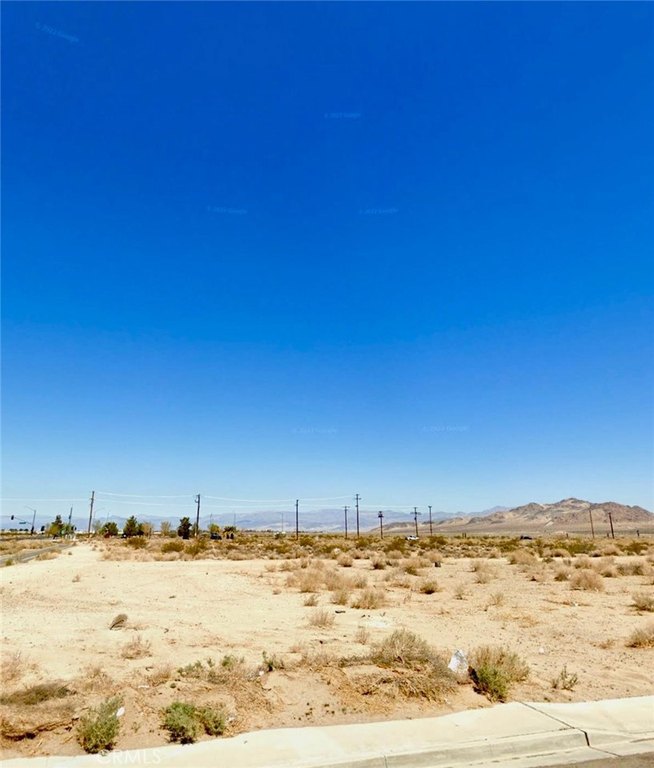 Picture 3