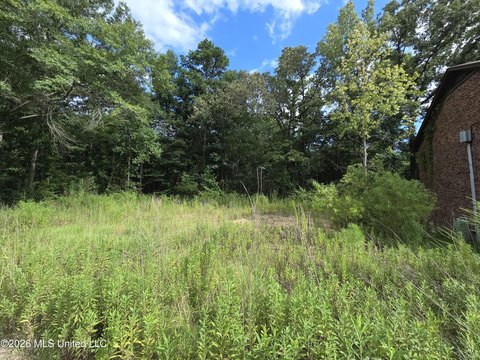 LAND - Hattiesburg, MS