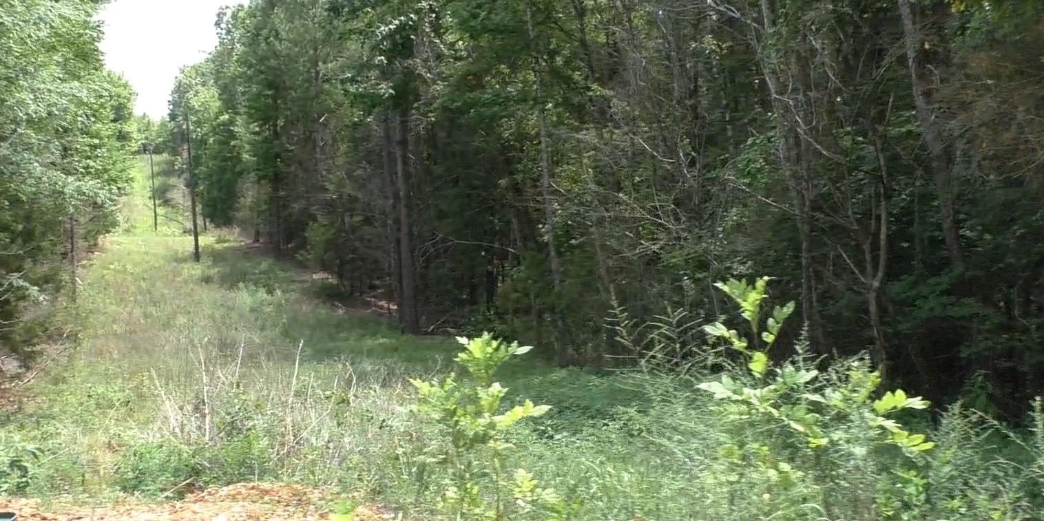 Cherokee, AL Land For Sale