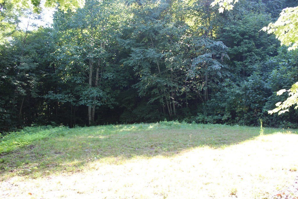 Picture 13