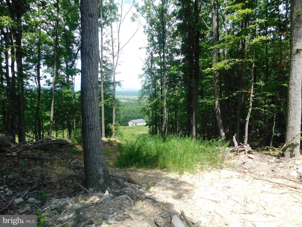 Picture 14