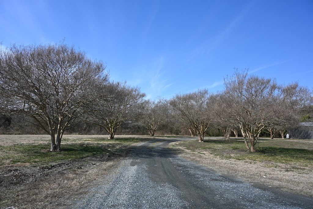 Picture 45