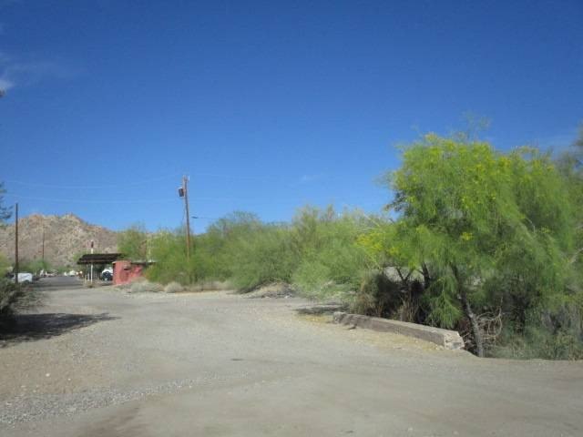 Picture 3