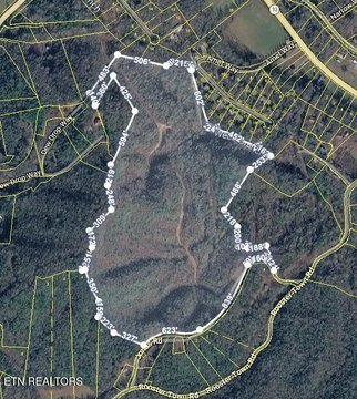 Lots & Acreage, Cosby, TN