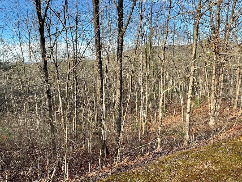 Picture 18