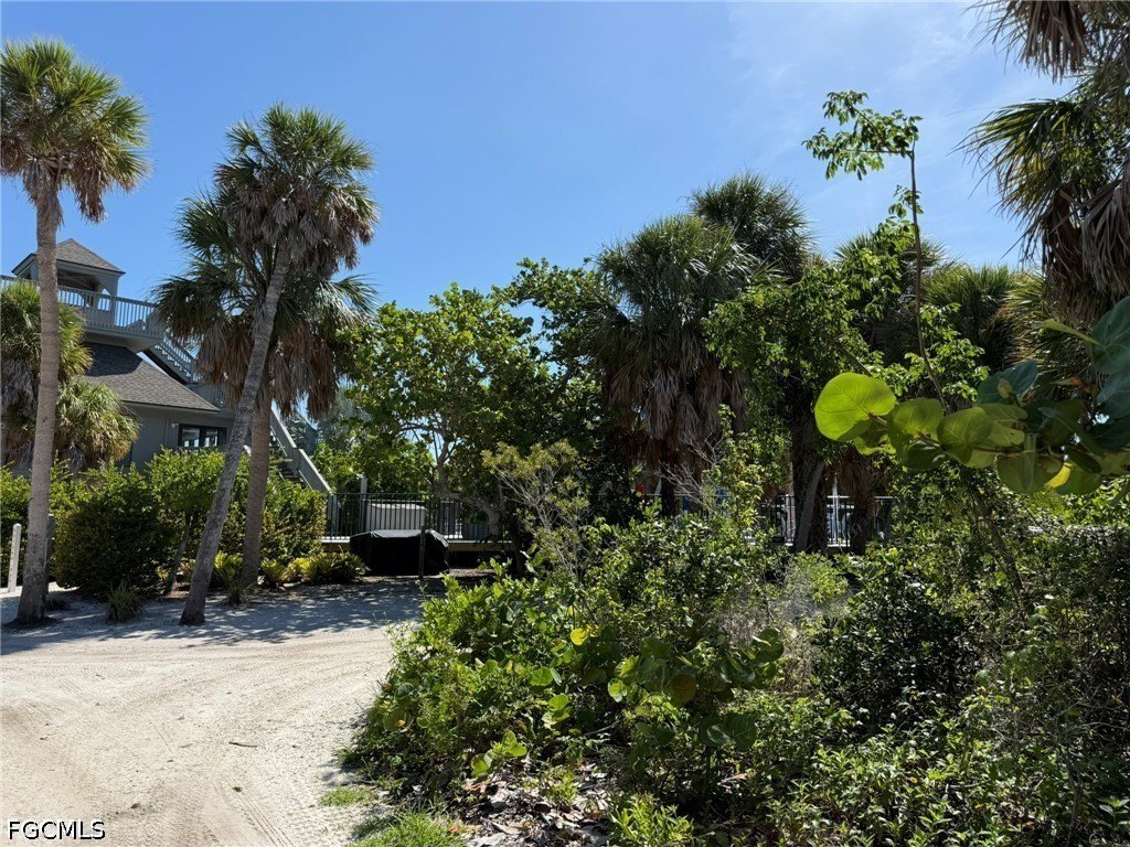 Picture 25