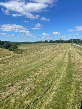 Land in Dry Ridge, KY