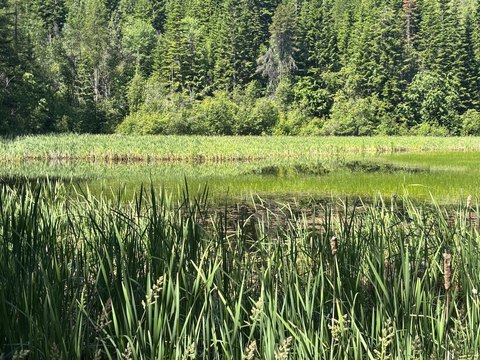 Secluded Acreage with Pond and Views