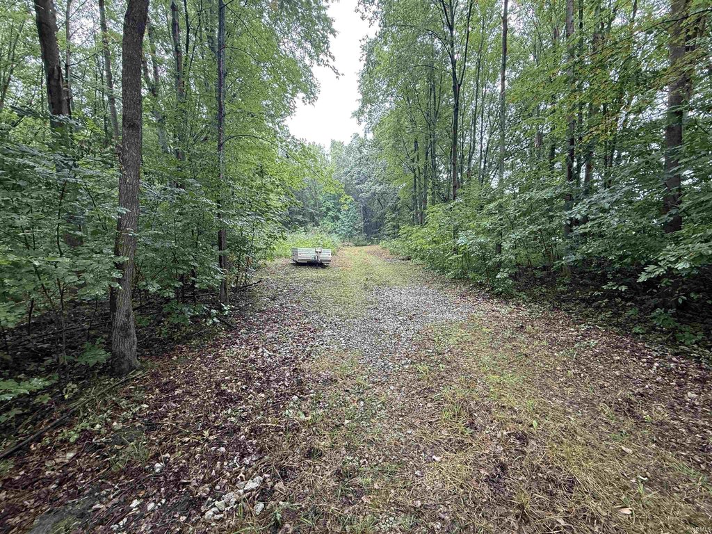 Picture 18