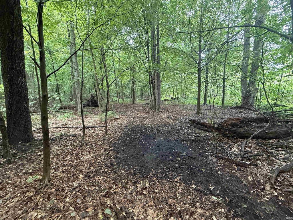 Picture 36