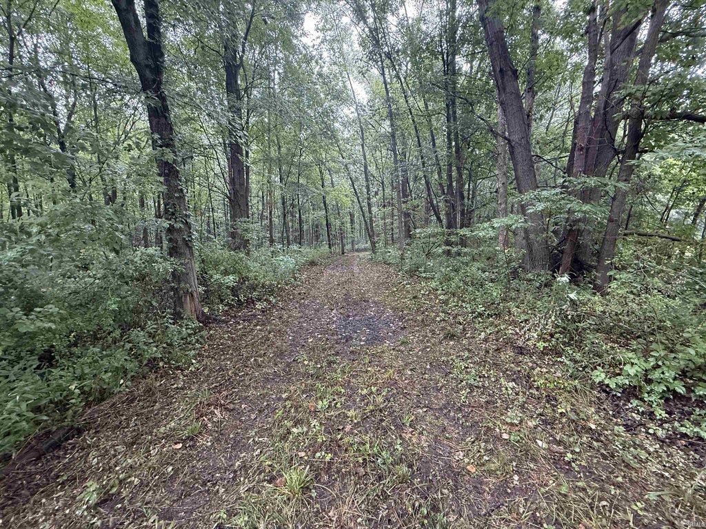 Picture 23