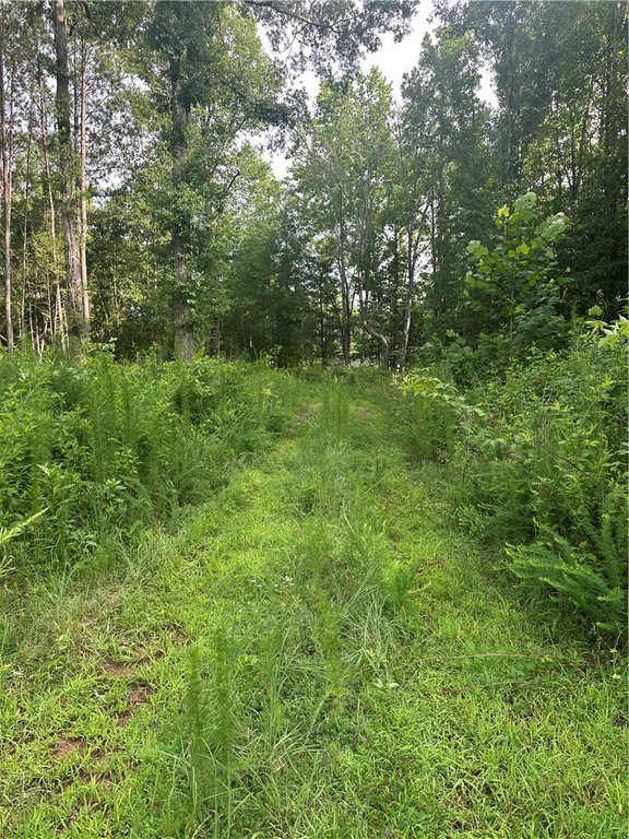 Picture 11