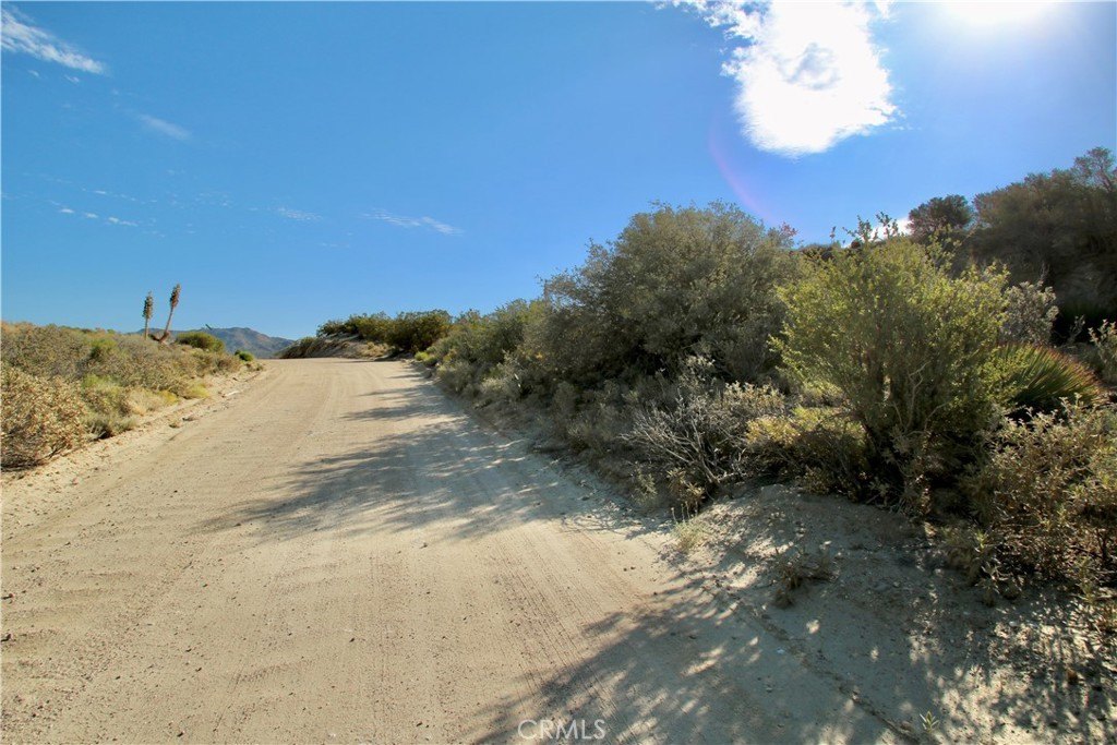 Picture 9