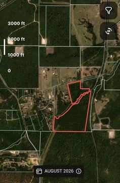 Timber Hunting Land