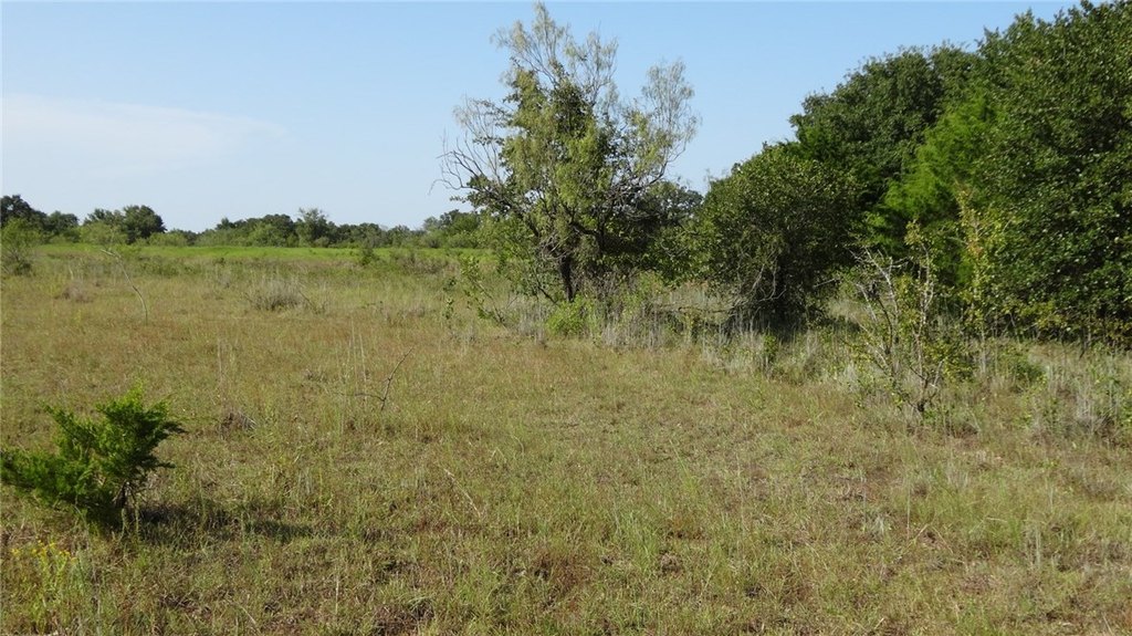 Picture 21