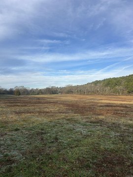 Land Near Ouachita National Forest