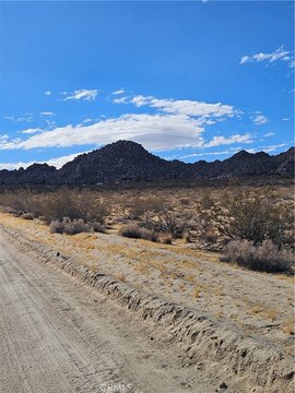 Joshua Tree Land Parcel