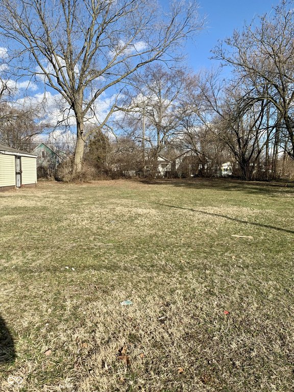 Picture 3