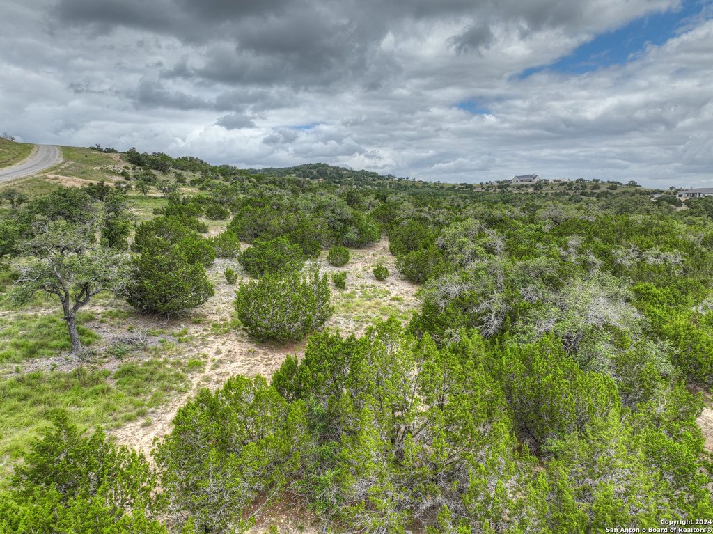 Picture 24