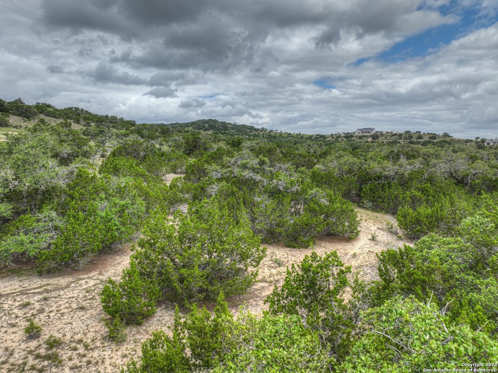 Picture 25