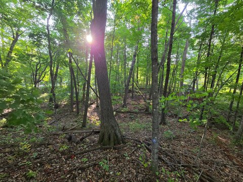 Land, Garrison, MN