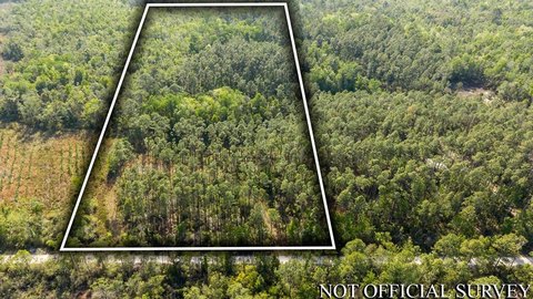 10 Acres in Steinhatchee, FL