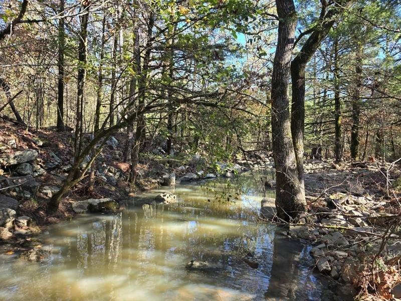 Arkansas Recreational Land Near National Forest