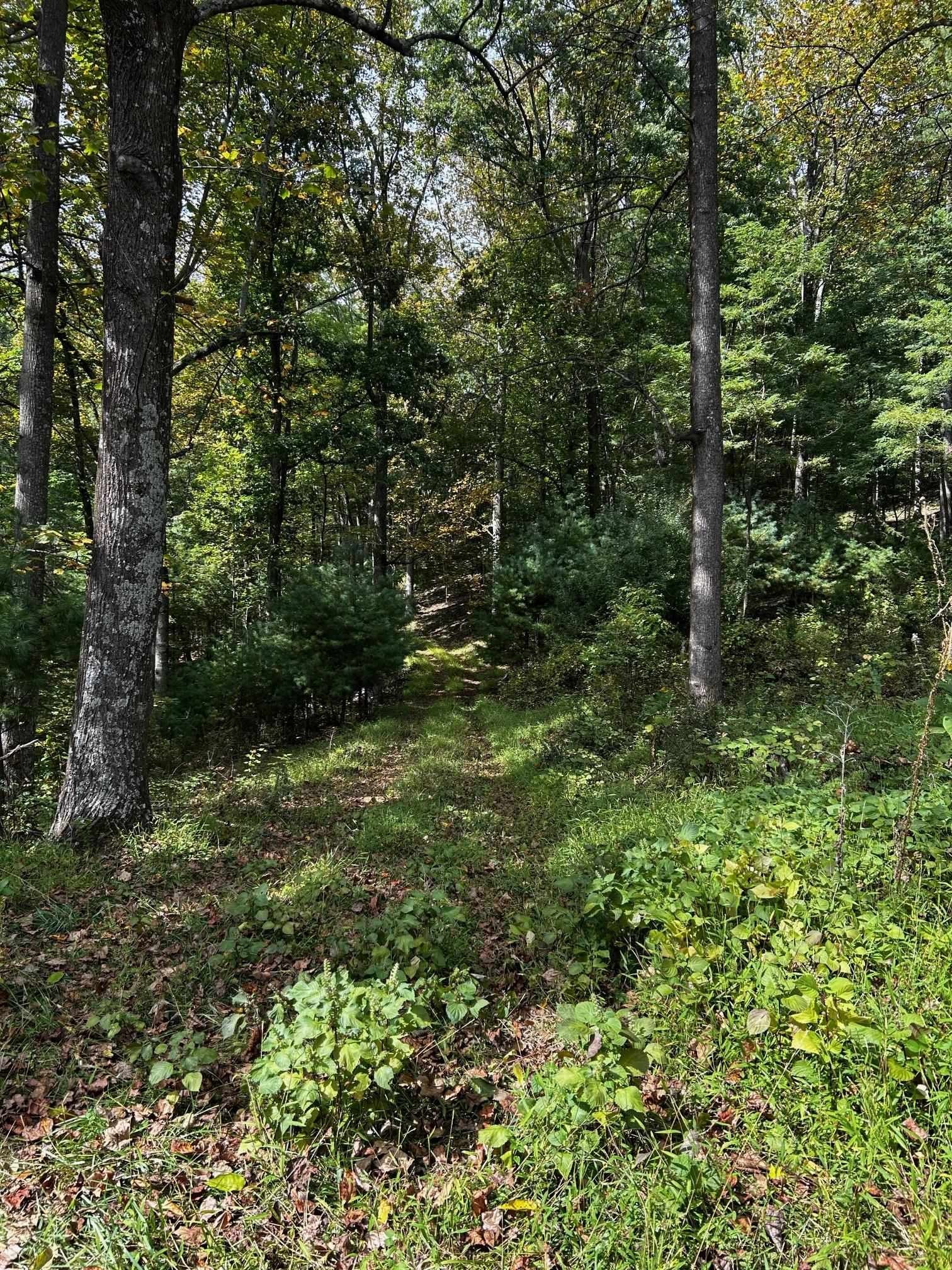 71 Acres Bordering National Park