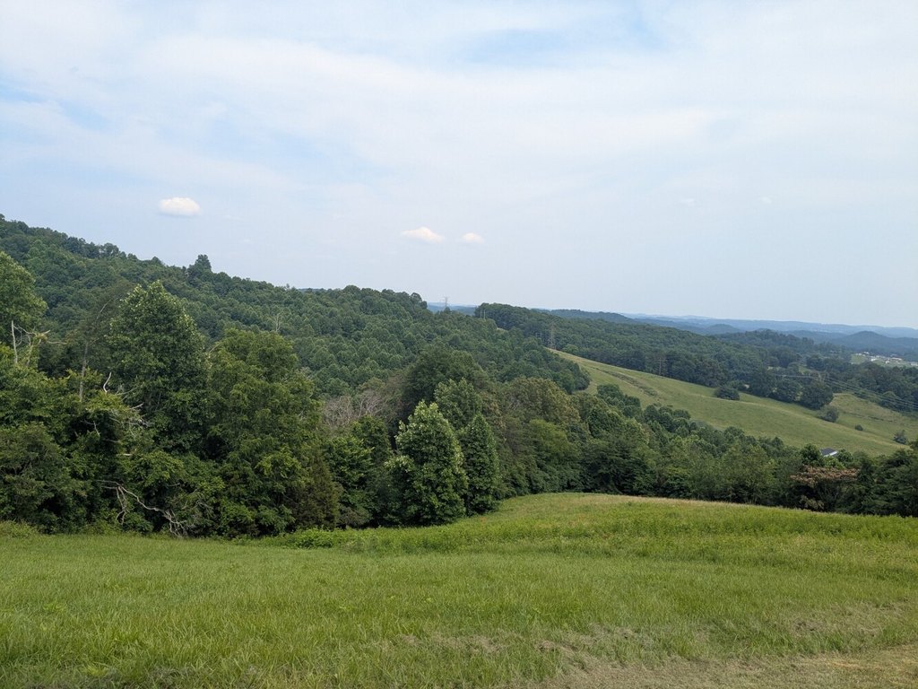 Picture 8